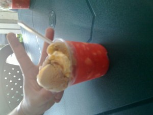 20100806_013
